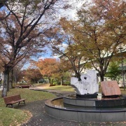 ʤΤ٤ơɲؤ˹դ򸫤˹Ԥä