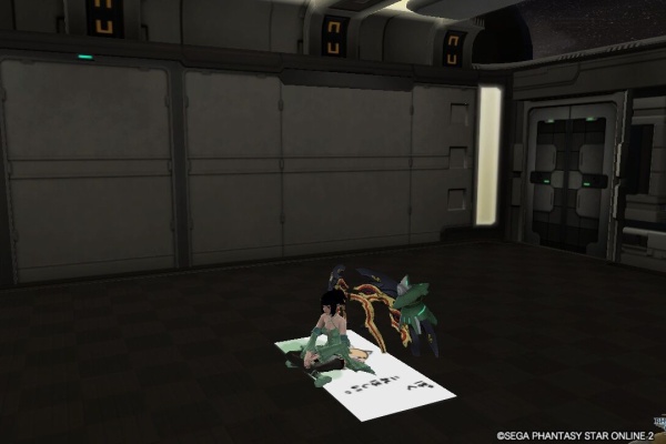 ｐｓｏ２日記