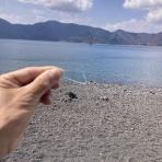 SEE YOU ON THE OCEAN