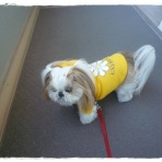 いつまでも一緒だよ♪