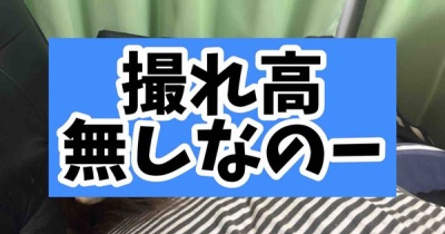 本日休刊。