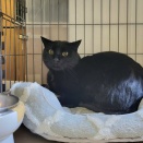 クロキ君なんと👀💡