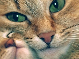 元旦那「あの時はごめんなさい。ひどいことをしたと、心から思っています。あなたが消えた僕の周りからは輝きがなくなってしまいました。もう何度目の春を迎えたんでしょう」