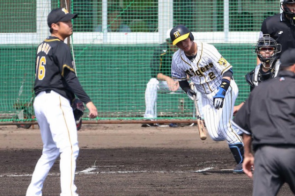 ちな虎やが 阪神タイガースまとめ 北條史也
