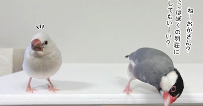 自分で開拓した新しい別荘