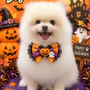 10月31日のお友達❤️
