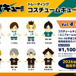 ハイキュー!! TO THE TOP スリムポスターコレクション : アニメ＆漫画