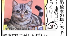 絵本『ねこがしんぱい』感想