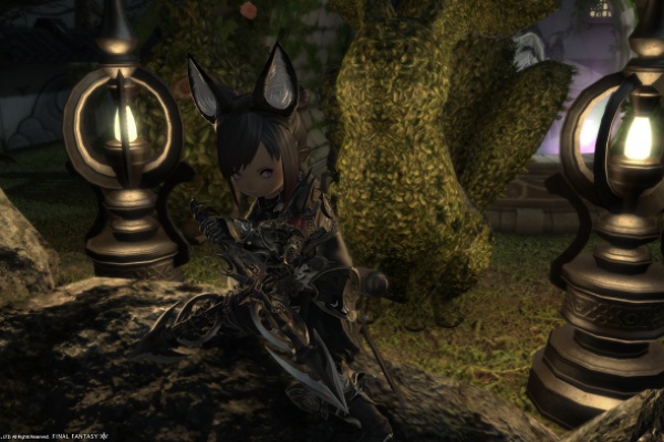 Lost Hollow In Eorzea 2017年10月