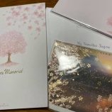 『子どもに寄り添う先生の見極め方【3点あります】』の画像