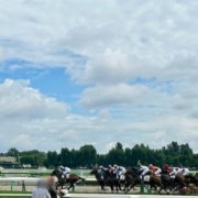 ドラマ「ザ・ロイヤルファミリー」を見終えて