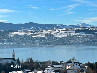スイスに戻りました🇨🇭