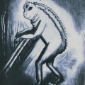 ラブランド・フロッグ（Loveland Frog）