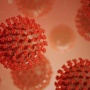 【期待】ブラジルに生息するマムシの毒が新型コロナの増殖を75％抑制できたという研究結果が出る！