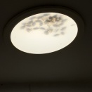 浴室の照明器具の中は、、、