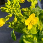 SAWANOBORI WORLD  ~BLOG~