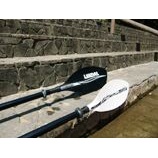 ��TEAM LENDAL�٤β���