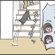 猫に好かれている夫と娘の戦い