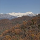 11月20日（木曜日）今日と明日のグランボレ