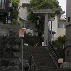 田舎の花〜原爆を生き抜いたシイエ