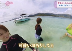 これはけしからんｗｗｗ 白石麻衣×松村沙友理ハワイ旅「可愛いおちりしてる」ｗｗｗｗｗ