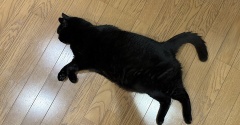 まだまだ若々しいスミちゃん