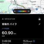 猫好きランナーの青梅ニャンRUN記