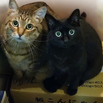 写真回のラストでございます。