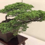 �ء�ī�Τ������������Ȥλ�̿�ϡ���̱�Ρ���̿�סֺ⻺�ס���餷�פ��뤳�ȡ������Τ����ϡ���丩�Ǥϼ���Ϥ��ʤ��Ȥ�����ô�����ȡ��䤿���Ϥ����ͤ��ޤ����٤β���