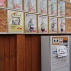 『函館牛乳あいす118　コーンが変わった☆』の画像