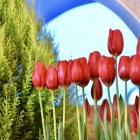 �פ�����ơ֥��������塼��å�🌷 �פȤ��䤹�ߥ��󥰡�Piano Man��