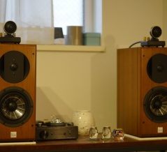 Vienna Acoustics Haydn Grand Symphony Edition