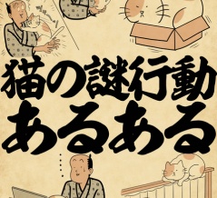 猫の謎行動あるあるでござる