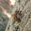 オヤジの夏休み自由研究