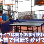 しろのたつみ