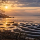 「理解」したうえでの次のステップ