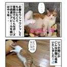 茶白デカ猫好きさんに♪