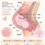 いのちを守る親の会(公式ブログ)