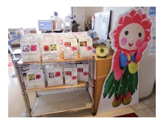 町の花ダリア球根