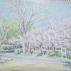 マル君と神戸スケッチ案内のblog