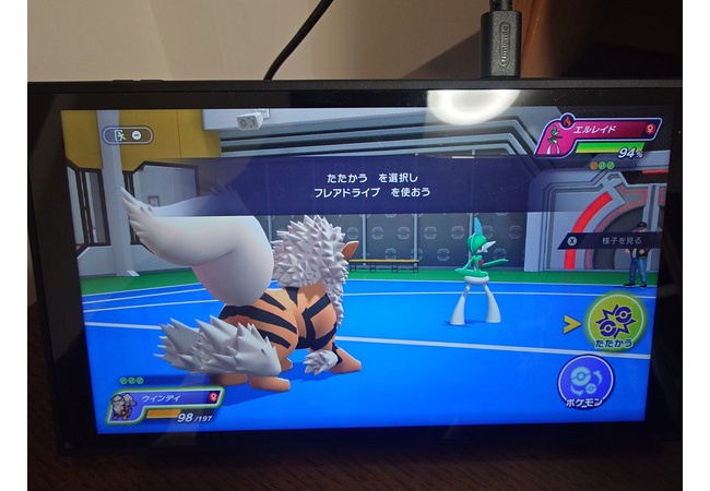ポケモンチャンピオンズ、多様性への配慮