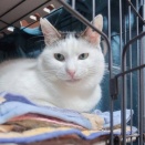 蓮くんの憧れ…✨