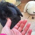 ふたりの棒さん