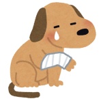 ありふれた毎日