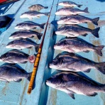 釣り筏　清福丸