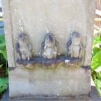 好奇心いっぱいこころ旅