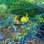 シニアママの素敵な時間