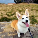 少し遠くの公園へ！