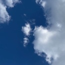 曲