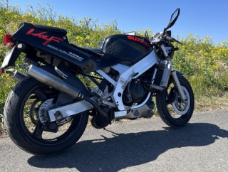 ウルフ250:オイルシール交換の効果と菜の花調査